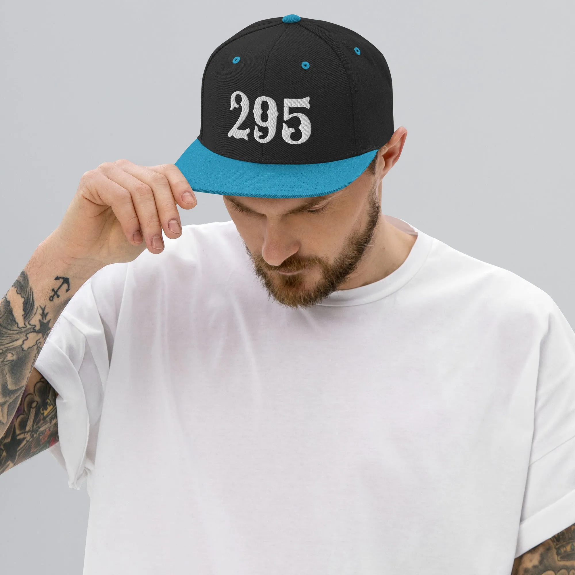 295 Snapback Hat