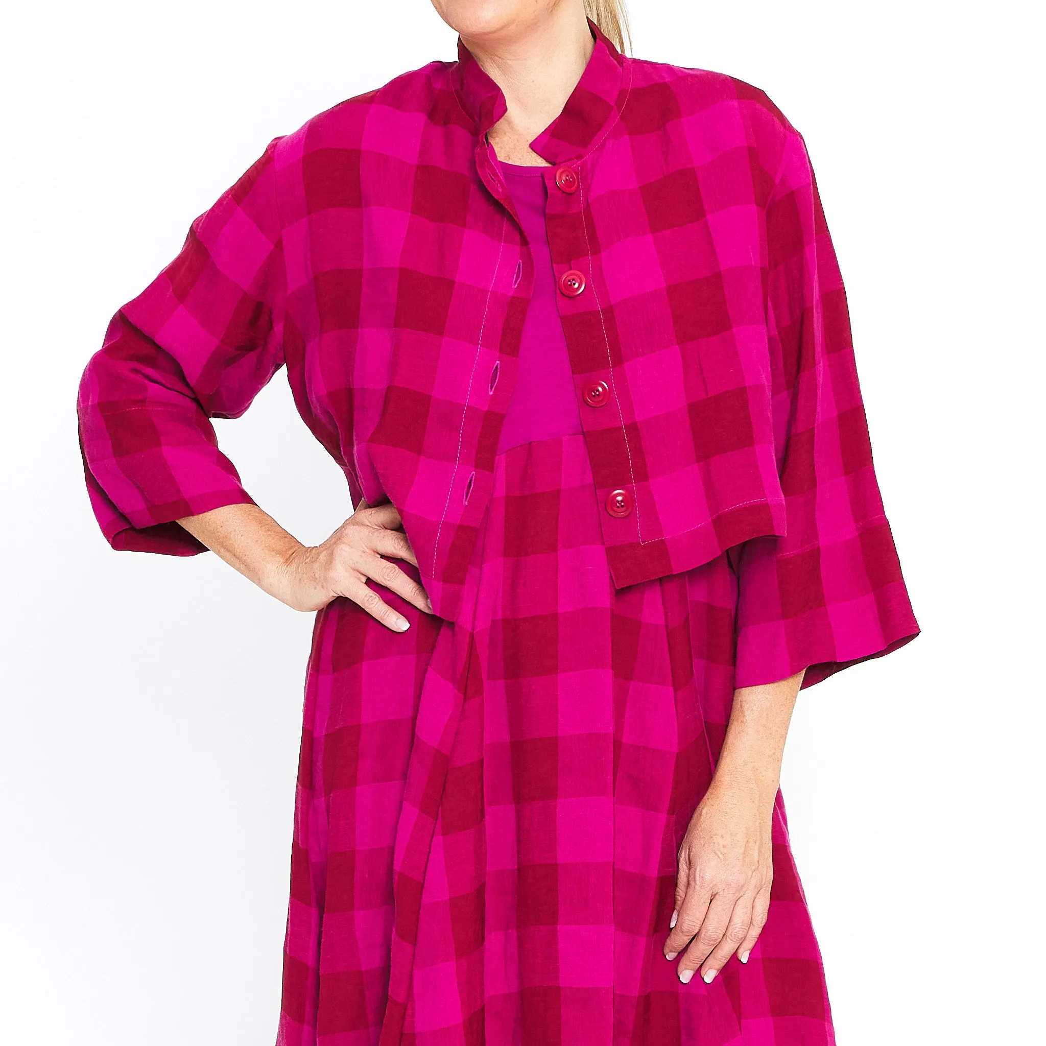 Archer Fuchsia Red Gingham Dress