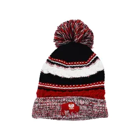 BFLO Polish Pom Pom Beanie