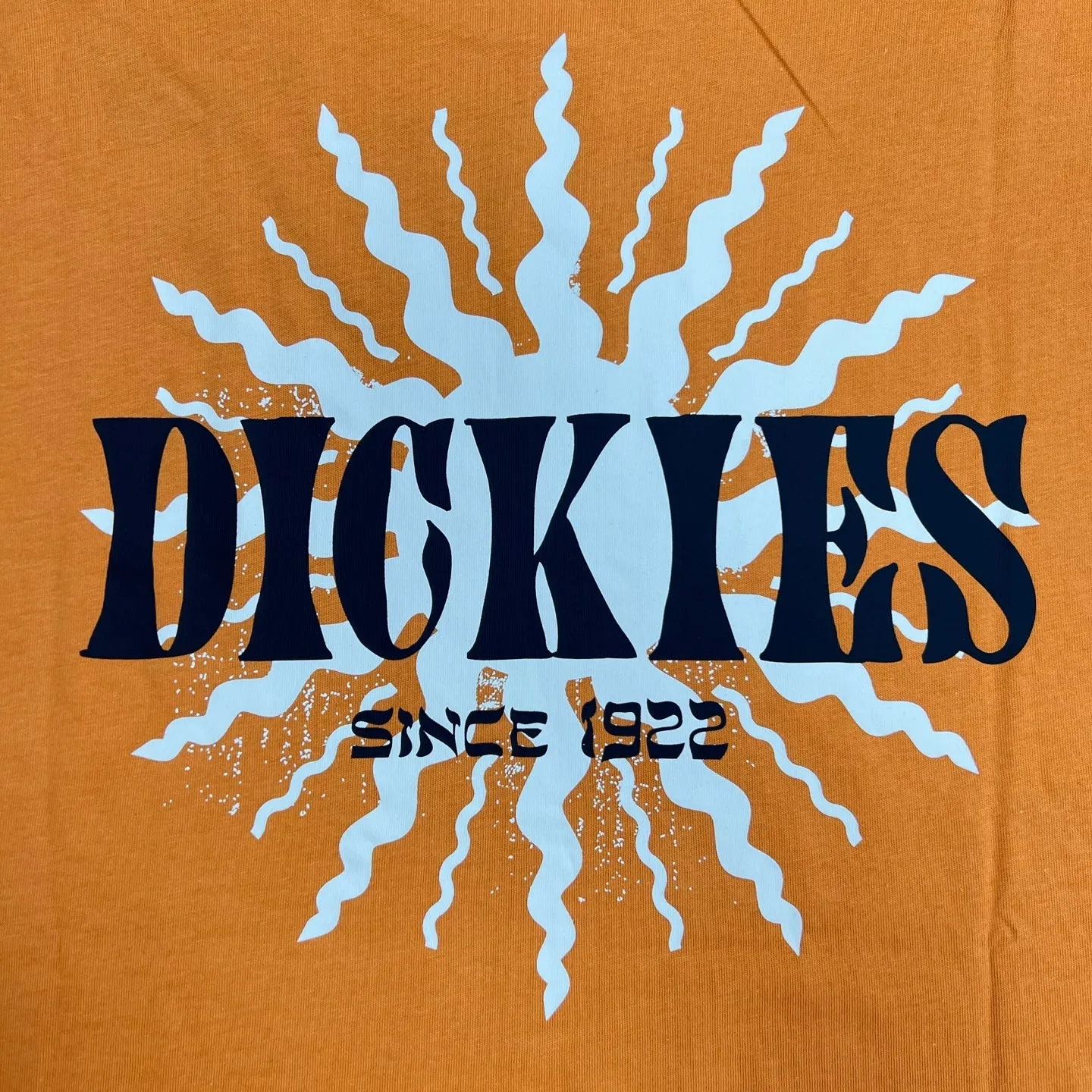 Dickies Kelso Graphic T-Shirt