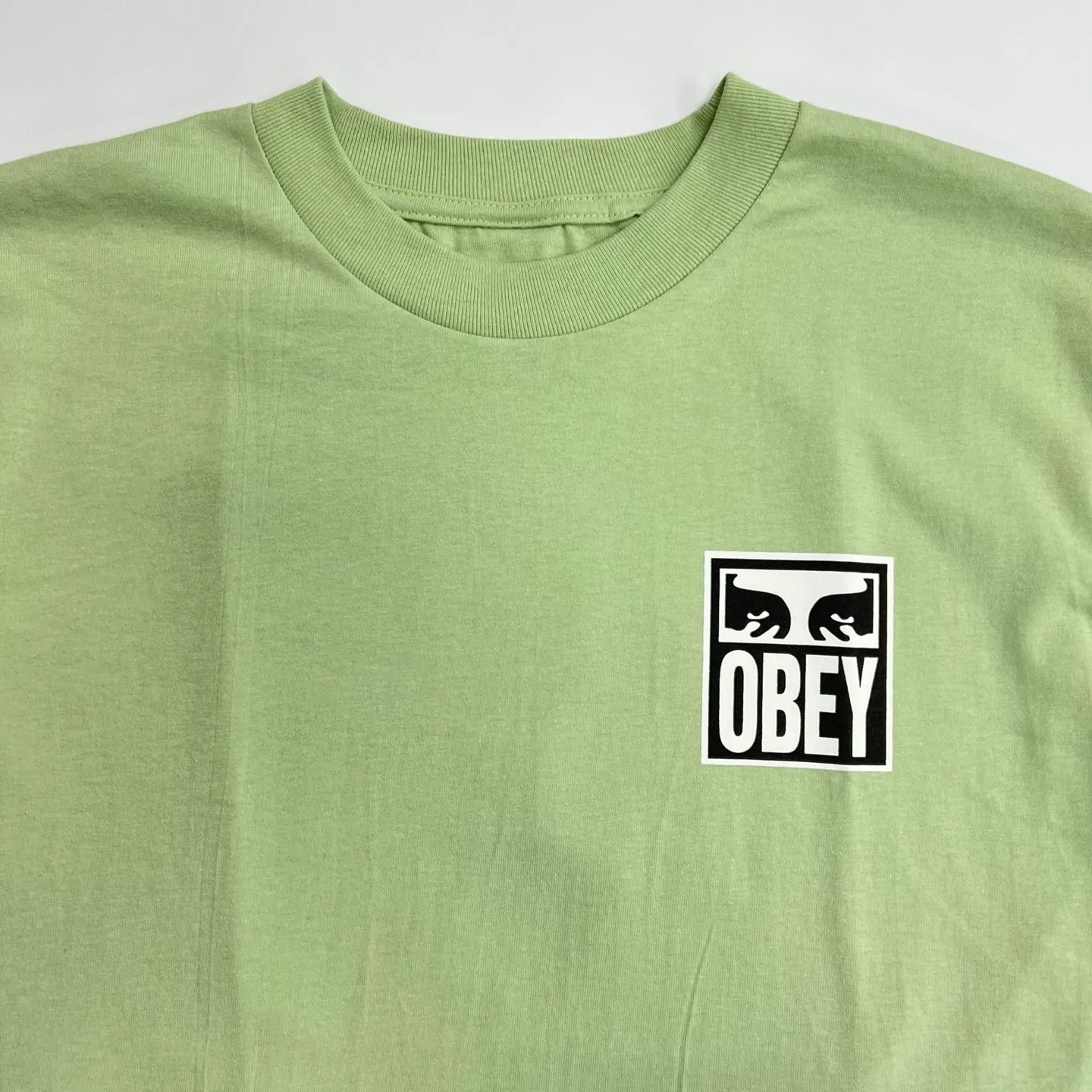 OBEY Eyes ICON 2 Heavyweight T-Shirt