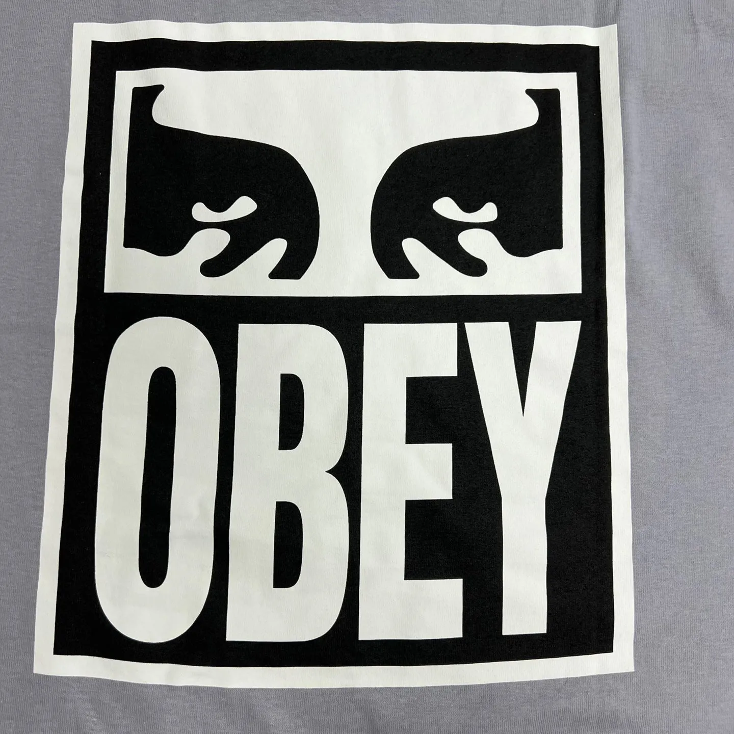 OBEY Eyes ICON 2 Heavyweight T-Shirt