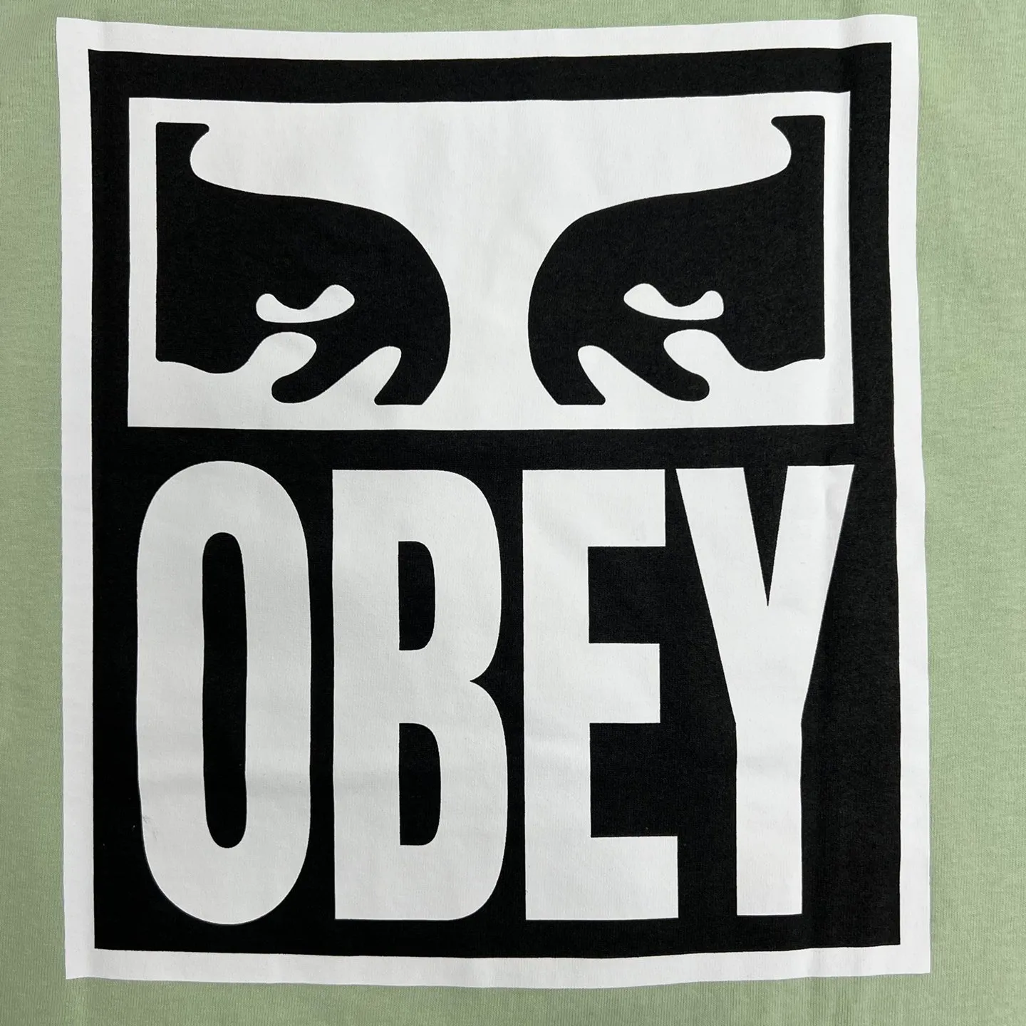 OBEY Eyes ICON 2 Heavyweight T-Shirt