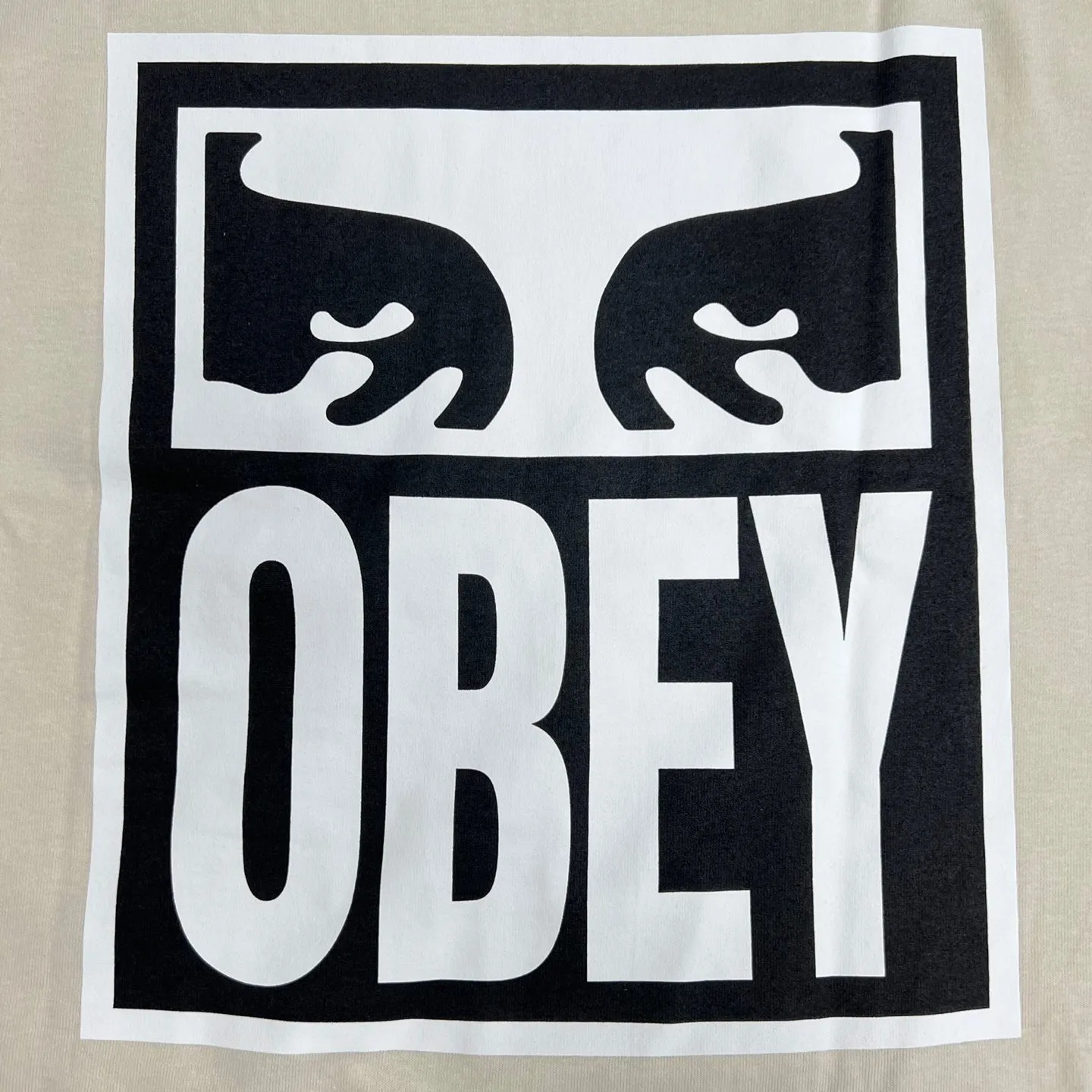 OBEY Eyes ICON 2 Heavyweight T-Shirt