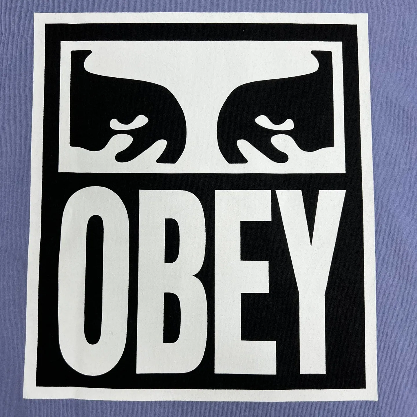 OBEY Eyes ICON 2 Heavyweight T-Shirt